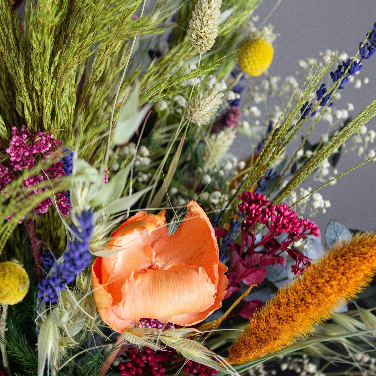 Sommerblomster i mange farver