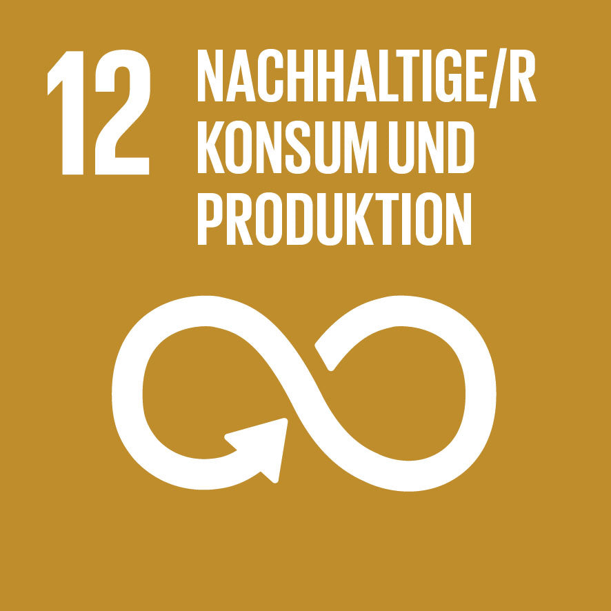 SDG Symbol: Nachhaltige/r Konsum und Produktion