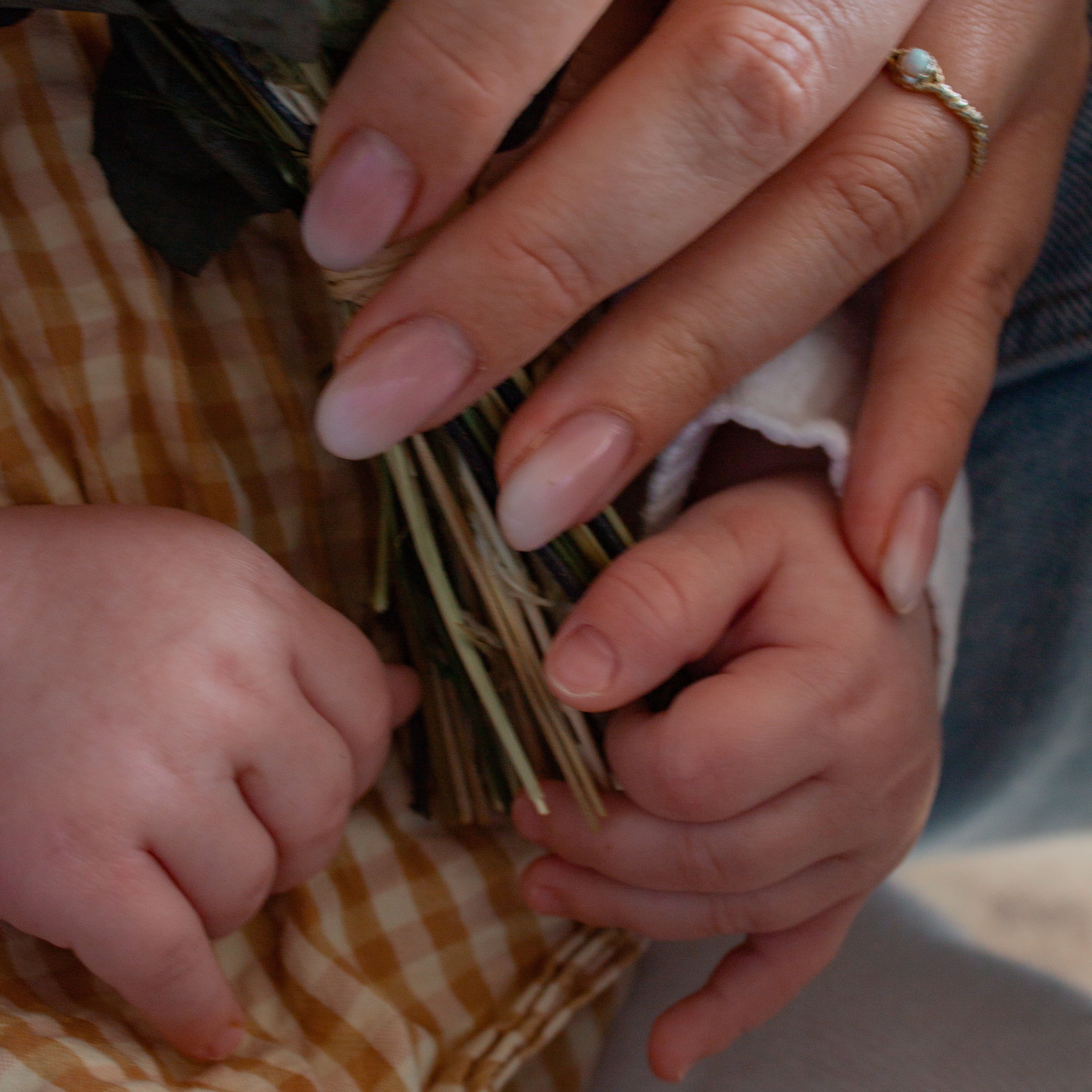 Babyhände und Erwachsenenhände halten gemeinsam die Stiele eines Living Flowers Straußes 