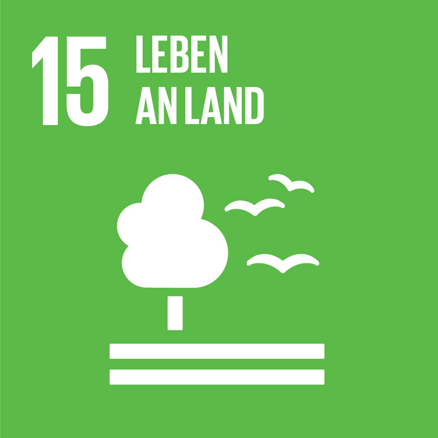 SDG Symbol: Leben an Land